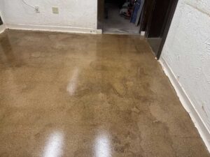 Grind and shine floor polishing